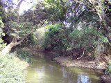 Mole River, Mole NP, Ghana