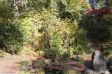 Japanese Garden, Dalzell Woods, Motherwell