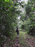 Birding at Ipassa Research Station, Makokou, Gabon