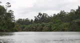 Rivers and creeks link Port Gentil to Ombou, Gabon