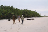 The Iguela Lagoon meets the ocean at St Catherines Beach, Gabon