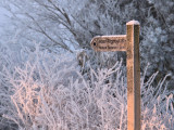 Signpost to Loch Lomond national Nature Reserve