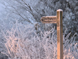 Signpost to Loch Lomond national  Nature Reserve