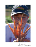 carrot boy