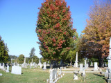 Fall 089.jpg