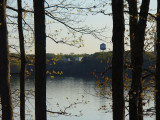 P1010661.jpg