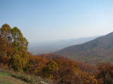IMG_0939.jpg