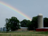 Rainbow Detail.jpg