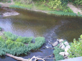 P1020201.jpg