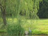 the plainsP1020963.jpg