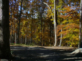 fall2010P1030227.jpg