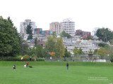 Charleson Park by False Creek