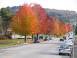 Autumn colours in Lochdale, Burnaby