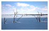 Shadow on Eldorado Lake
