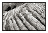 Striation