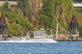 Oct 16 10 Columbia River-093.jpg