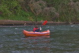 May 18 08 Lewis River Kayaks-7.jpg