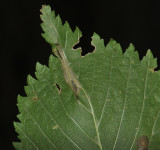 sep2010  055.jpg