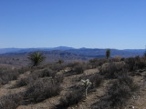 Ryan Mountain Hike #5374