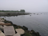 Jameson Point #6907