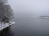 Penobscot Bay from Little River Bridge