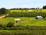 Farmland  P.E.I.