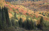 Mont Tremblant Park In Color