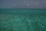 Cayman Water