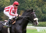 img_5782c.jpg (Fly Society)