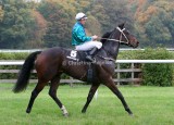 img_6386c.jpg (Sir Bastian)