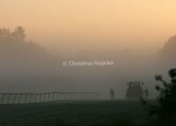Klampenborg 2008-10-07 (Morning workout, Ordrup Moor)