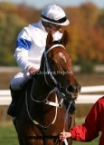 img_7304c.jpg (Hot Fudge)