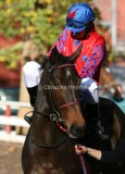 img_7351c.jpg (Dee Dee)