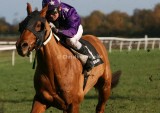 img_7382c.jpg (Red Cadet)