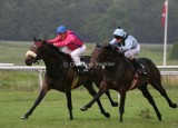 img_6395b.jpg (Lady Mary & John Balliol)