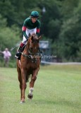 img_6480b.jpg (Intigold)