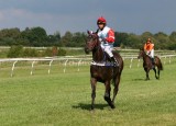 img_6755b.jpg (Zazoo)
