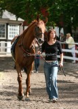 img_6819b.jpg (Red Attack)