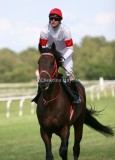 img_6876b.jpg (Rex Shipping)