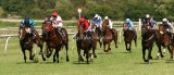 img_6884b.jpg (Bobby Frankel Handicap)