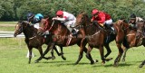 img_6887b.jpg (Bobby Frankel Handicap)