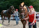 img_6913b.jpg (Nassau Style)
