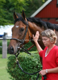 img_9887b.jpg (Dan Silcastar)