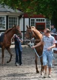 img_9892b.jpg (Clauses Polly)