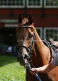img_9907b.jpg (Clauses Polly)
