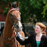 img_0443c2.jpg (My Dear Friend)