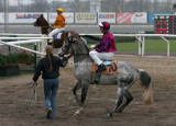 img_8319c.jpg (Milord)