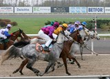 img_8335c.jpg (Ramonia Arabians Finalhandicap)