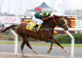 img_8341c.jpg (Topspeed Kossack)