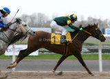 img_8343c.jpg (Topspeed Kossack)